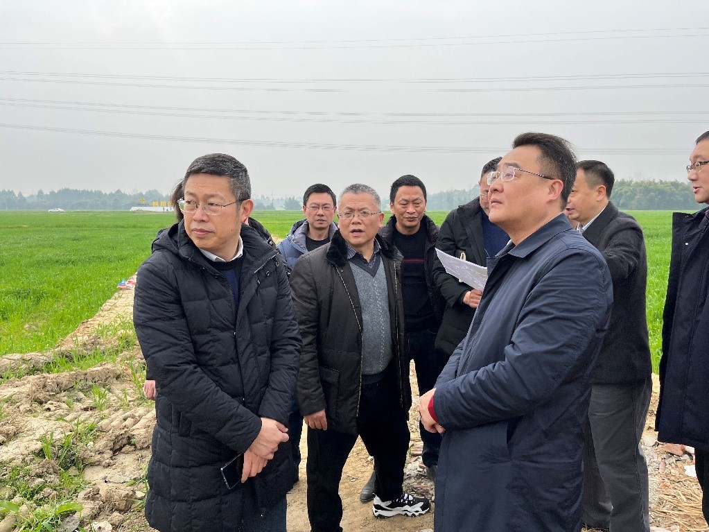 省社、省供投集團(tuán)領(lǐng)導(dǎo)調(diào)研青白江區(qū)四川現(xiàn)代供銷種業(yè)園區(qū)