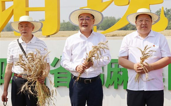 農(nóng)機(jī)田間走 集團(tuán)種植基地萬(wàn)畝小麥喜開豐收第一鐮