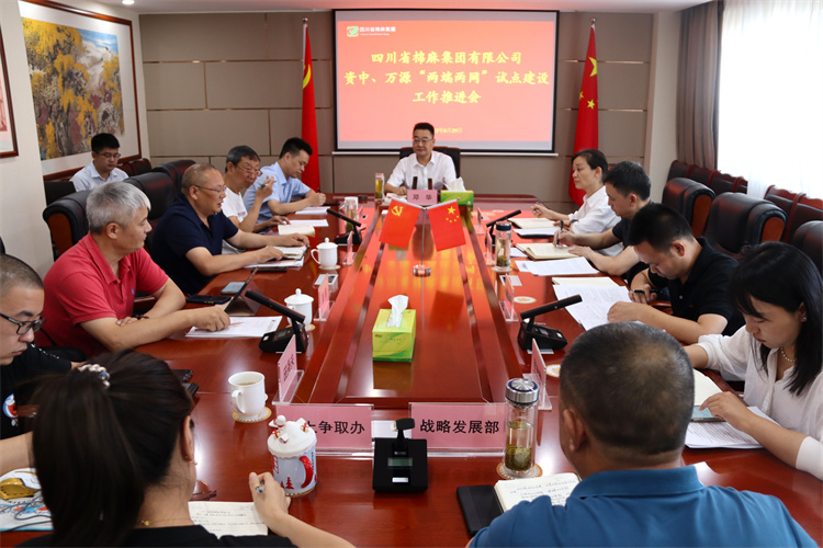 鄧華主持召開資中、萬源“兩端兩網(wǎng)”試點建設(shè)工作推進會