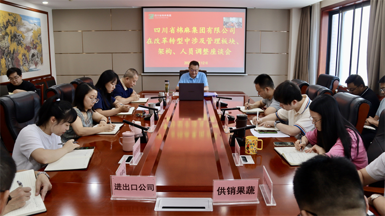 集團公司召開在改革轉(zhuǎn)型中涉及管理板塊、架構(gòu)、人員調(diào)整座談會