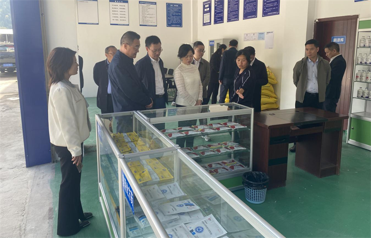 四川省供銷社黨組成員、理事會副主任、一級巡視員楊武秀帶隊(duì)到萬源調(diào)研集團(tuán)舊院黑雞產(chǎn)業(yè)發(fā)展工作