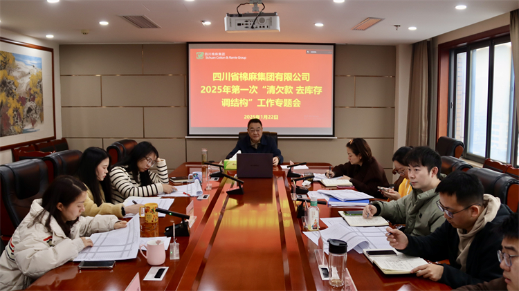 集團公司召開2025年第一次“清欠款、去庫存、調(diào)結(jié)構”工作專題會
